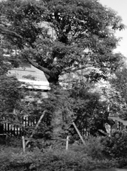 鞍山注册公司